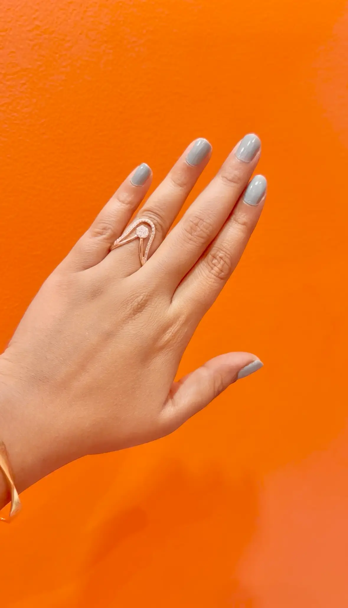 IMG_1708 Vanki Ring - Image 1