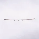 Women's Bracelet - Image 3